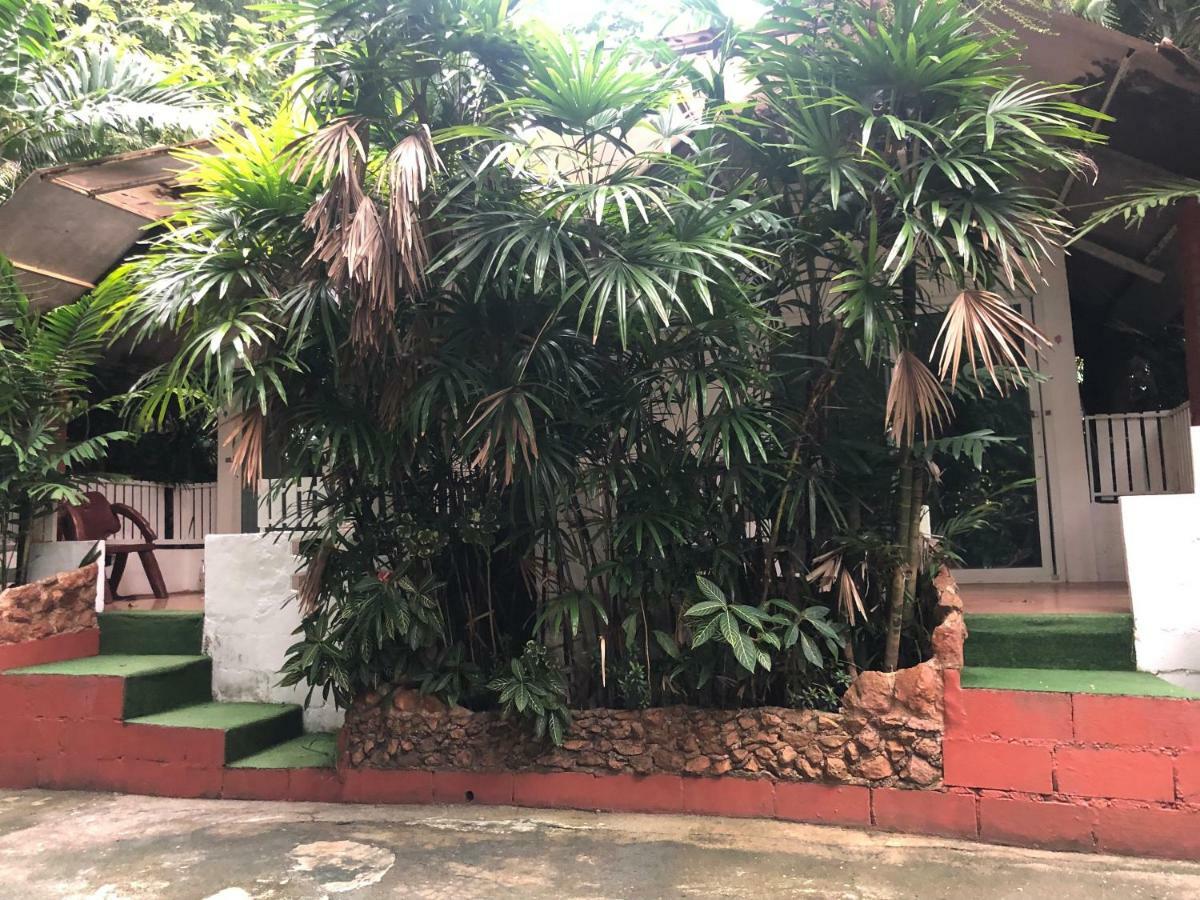 فندق باين بونجالو Krabi town المظهر الخارجي الصورة